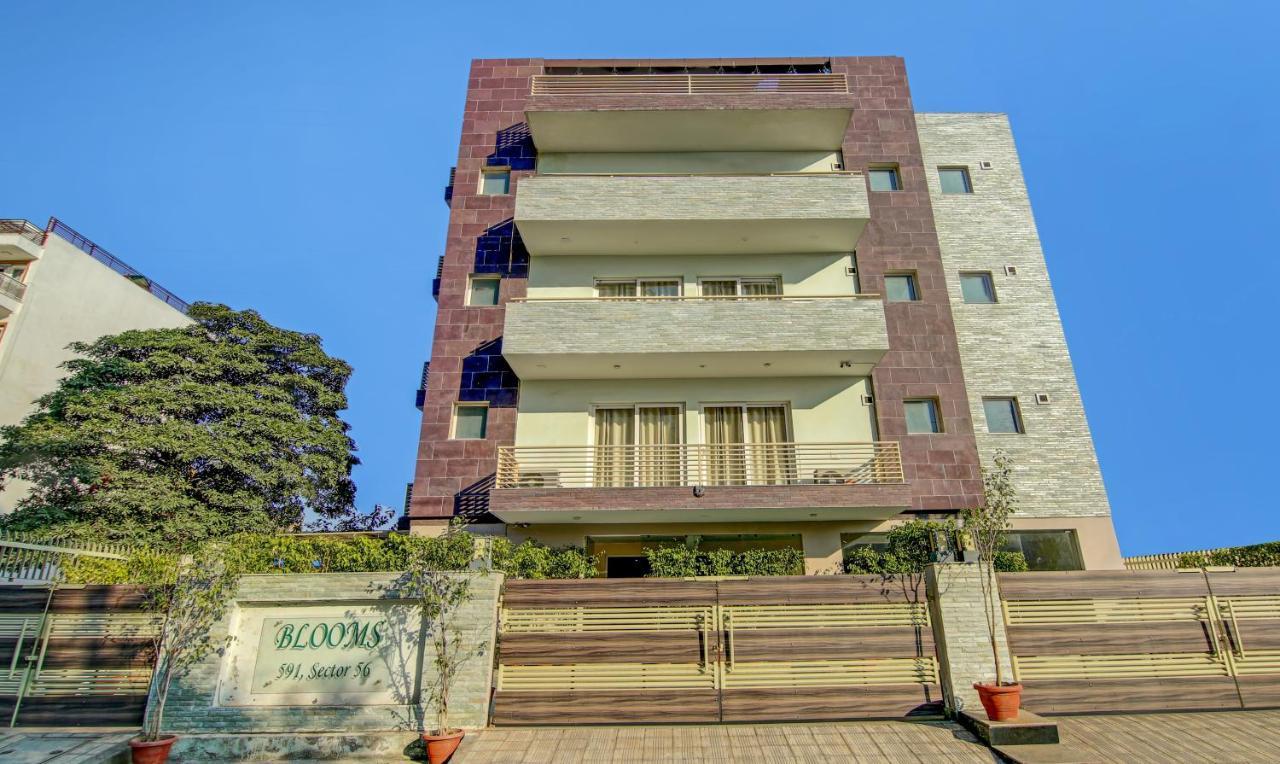 Treebo Trend Blooms Premium Hotel Gurgaon Ngoại thất bức ảnh